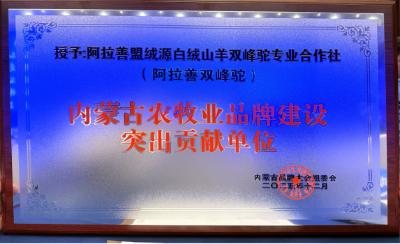 2025内蒙古农牧业品牌大会赤峰启幕!阿拉善双峰驼、肉苁蓉等入选内蒙古知名品牌