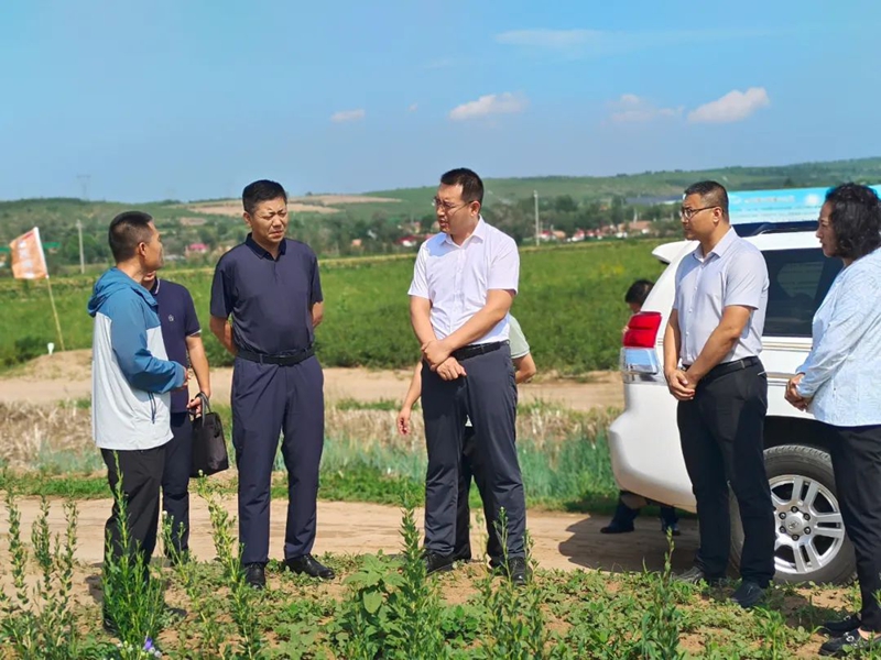 张圣合调研农机研发生产和中药材产业