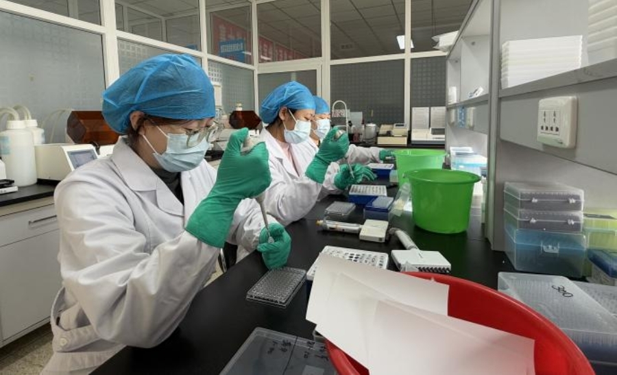 流感病毒怎么采样赤峰市圆满完成国家H10N3亚型流感病毒专项监测、内蒙古重点动物疫病飞行检查和布病专项检测采样工作_https://www.jmylbn.com_新闻资讯_第3张