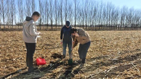 通辽市开展西辽河流域黑土灌区单产提升项目播种前土壤采样工作