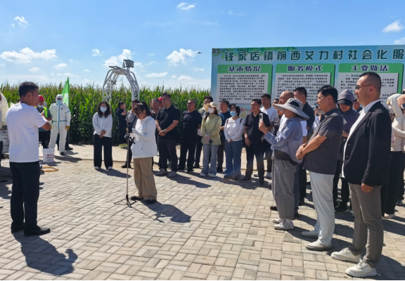 通辽市举办2026年秋粮抗逆防灾技术现场观摩培训(图1)