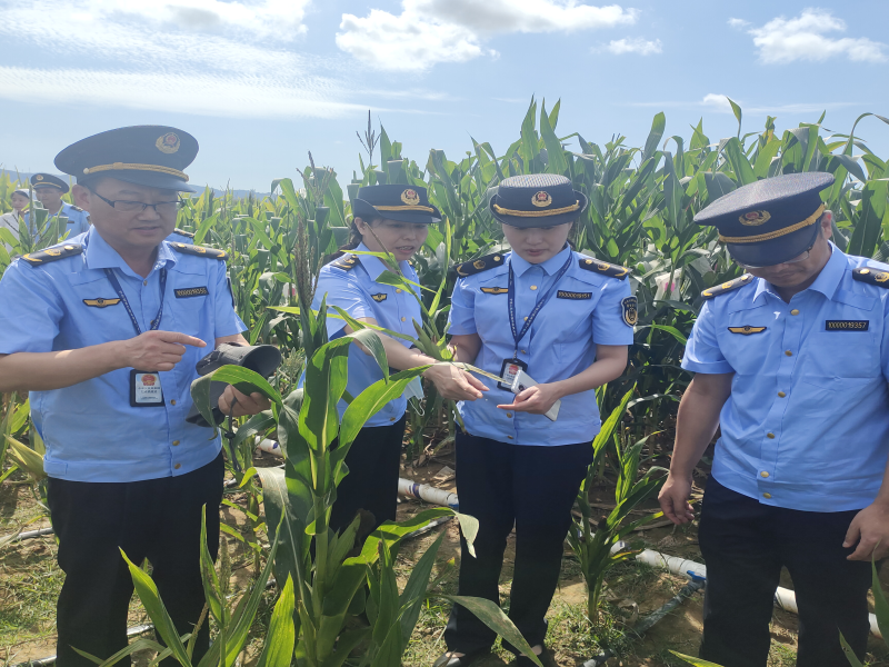 强化植物检疫监管,筑牢南繁基地种业安全防线——我区参加农业农村部南繁基地植物检疫联合巡查行动