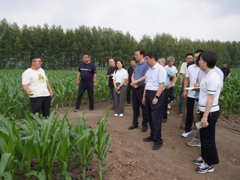 全国农技中心魏启文主任一行到兴安盟调研生物育种制种及复合种植防治用药情况