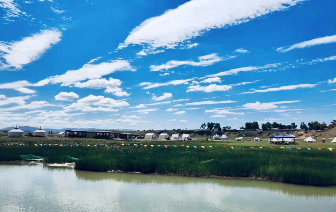 三产融合助力乡村全面振兴合作经营引领农民致富增收——土默特左旗沁宇种养殖农民专业合作社