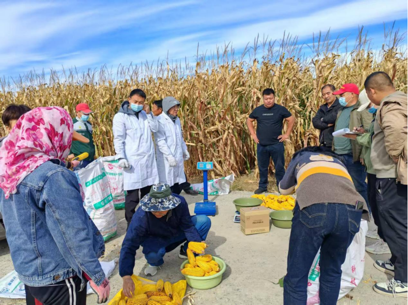 通辽:在全国粮食主产区首个实现200万亩规模“吨粮田”