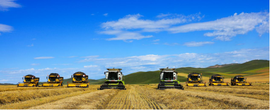 840.7亿斤!内蒙古粮食产量跃居全国第五 实现新跨越