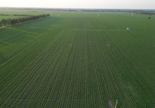 840.7亿斤!内蒙古粮食产量跃居全国第五 实现新跨越