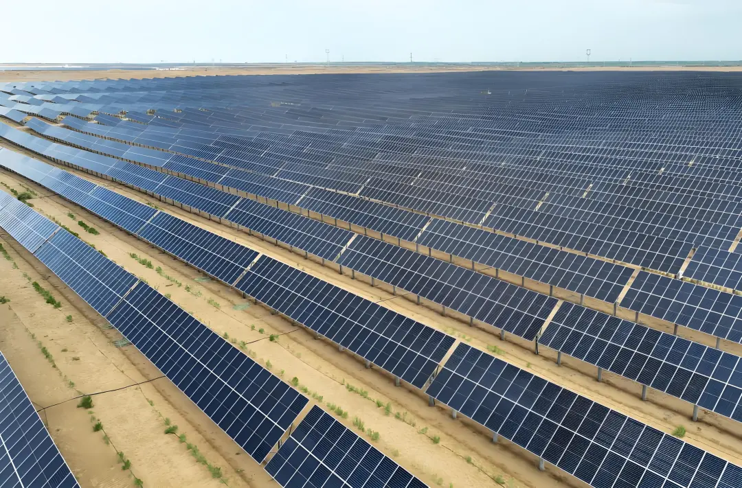 乘风而起,落子有声!阿拉善“新春第一会”为何锁定这件事