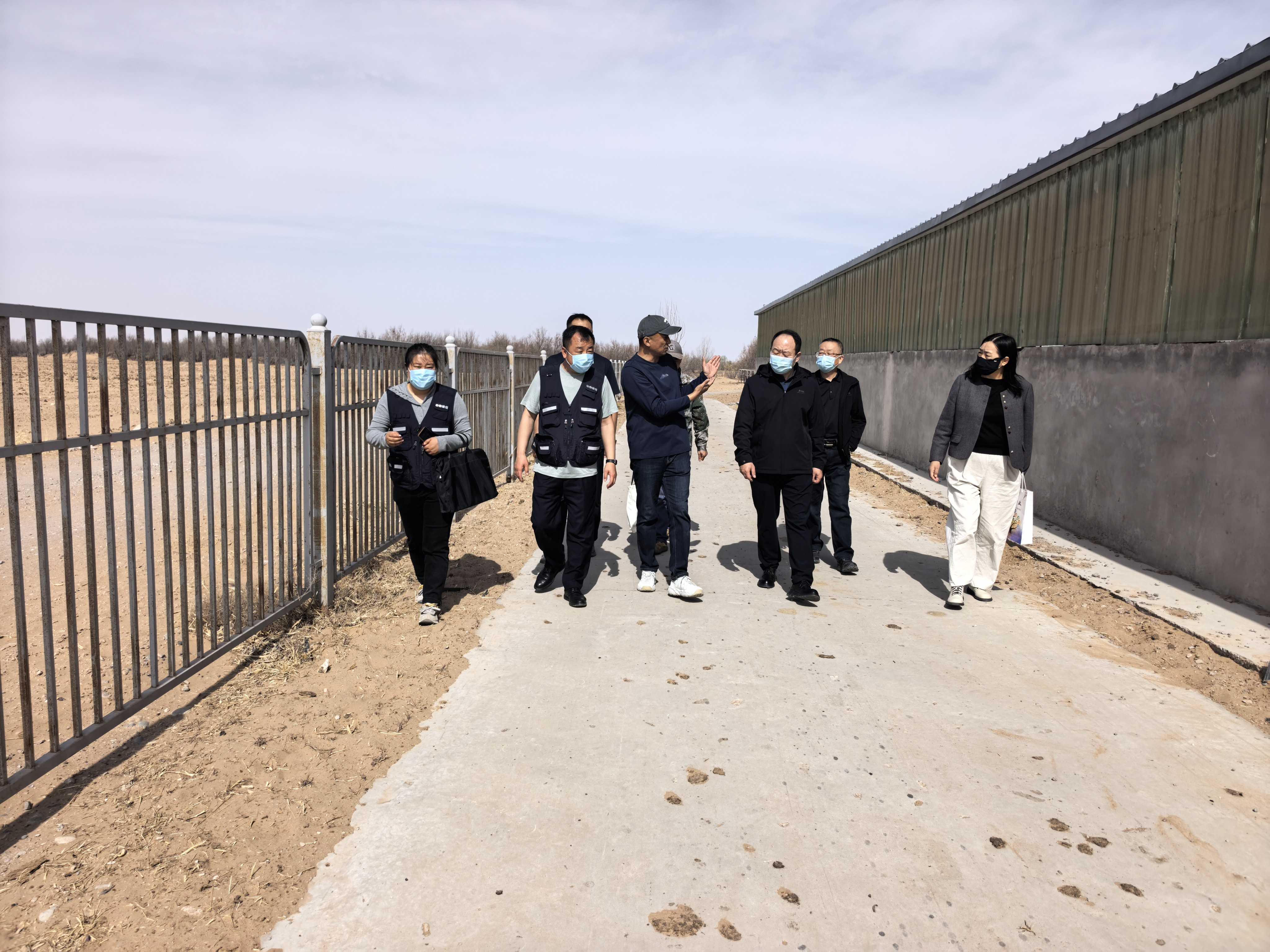 阿拉善盟农牧局深入一线开展春季重大动物疫病防控指导 筑牢畜牧业安全防线