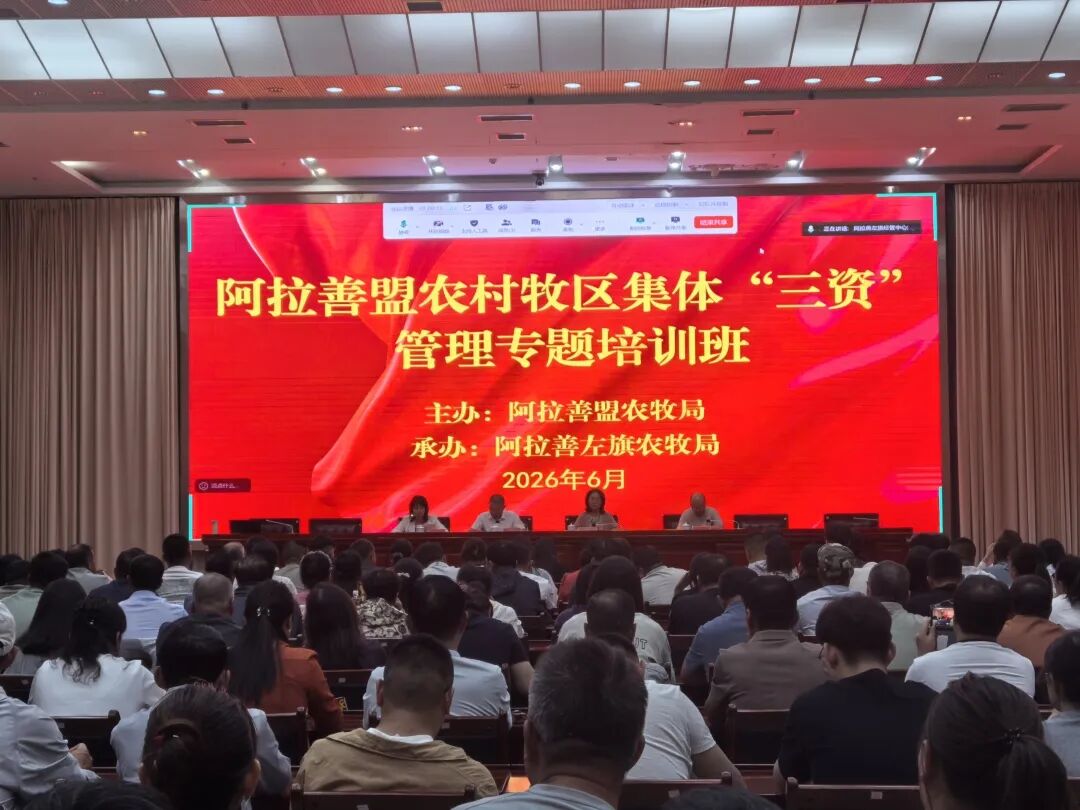 强业务提能力 严监管促规范——阿拉善盟农牧局组织召开全盟农村集体“三资”管理专项业务培训班