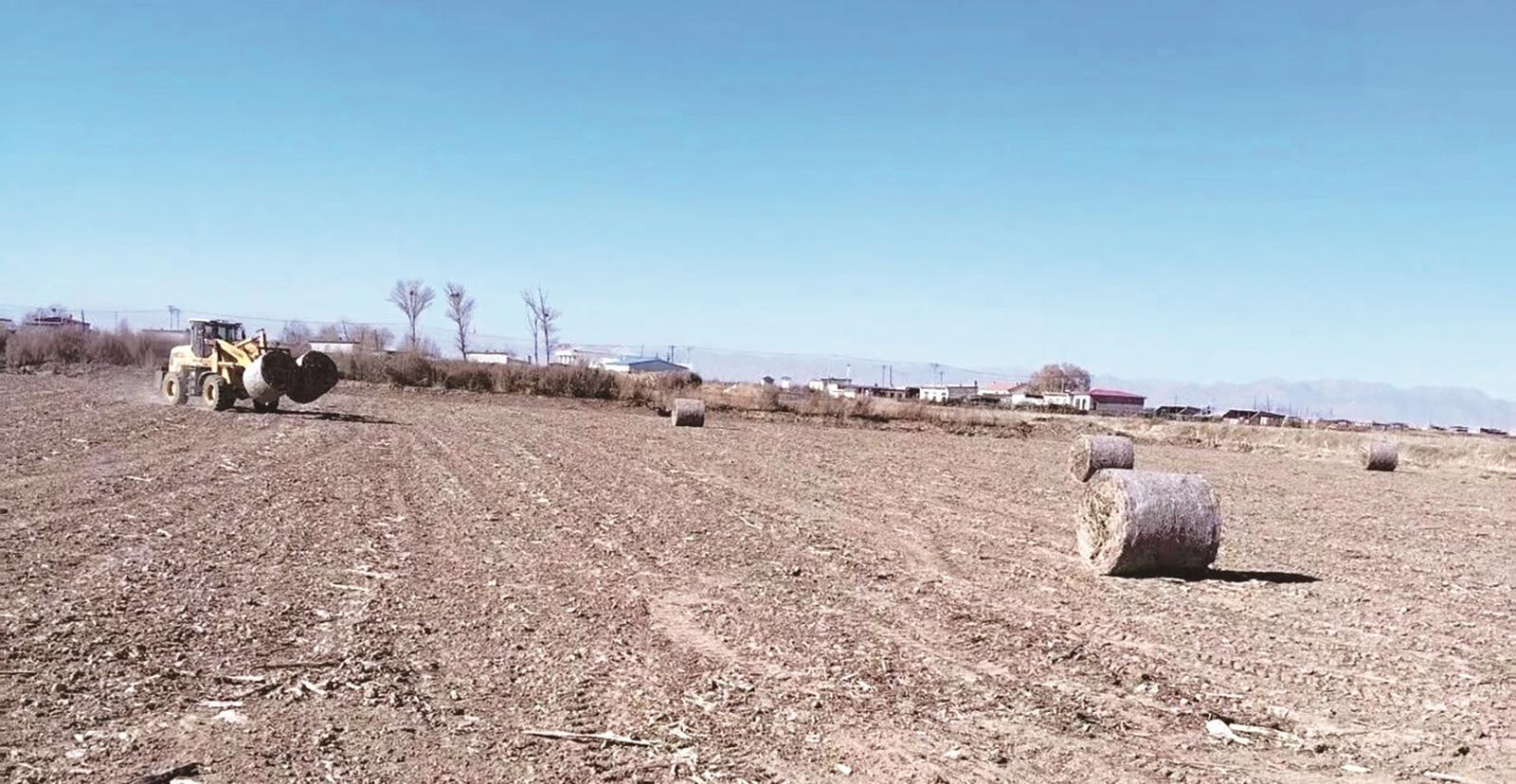 秸秆变废为宝 生态增收双赢