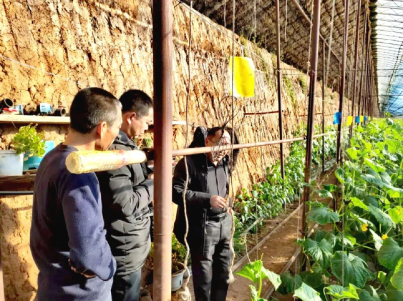 宁城县右北平镇春耕备耕正当时