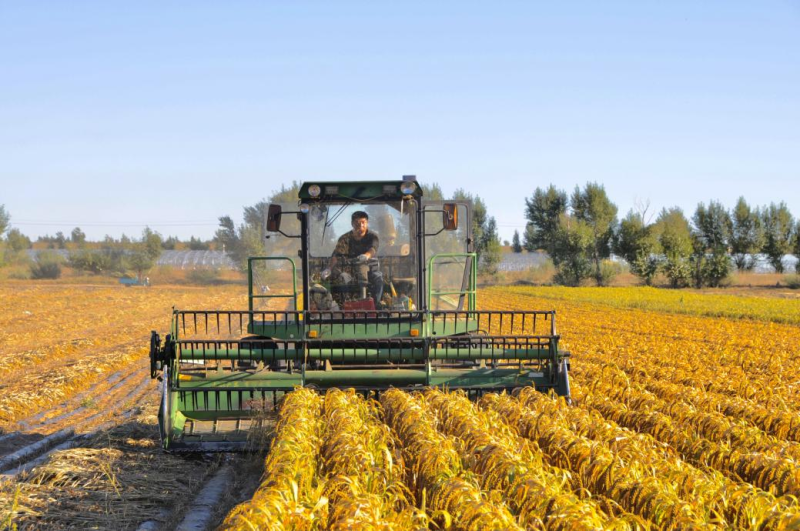 敖汉旗古鲁板蒿镇农业社会化服务体系助农增收