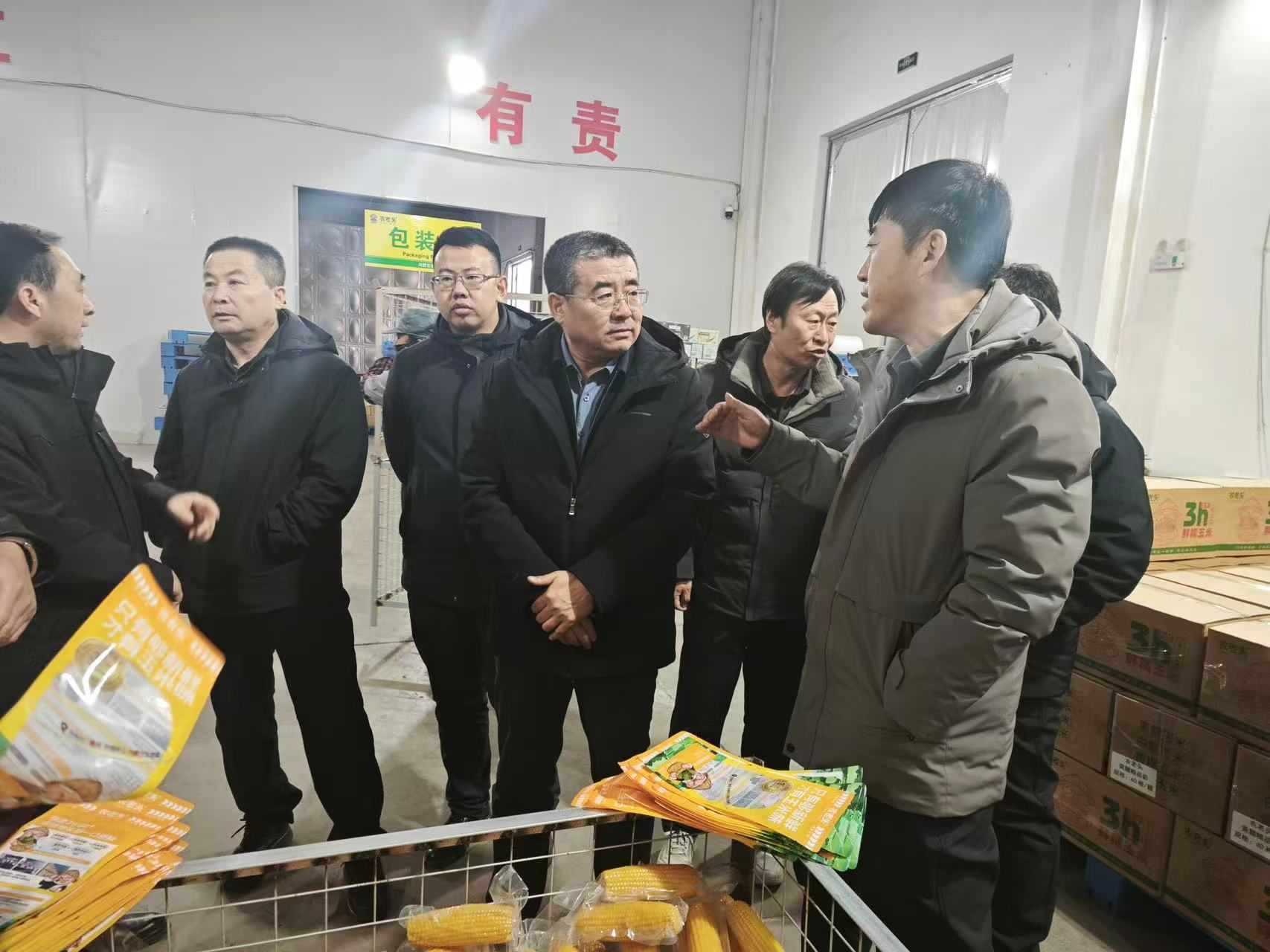 调研2026年鲜食玉米项目区