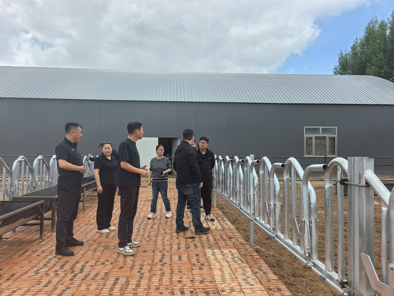 调研组开展草原畜牧业转型升级试点项目专项调研