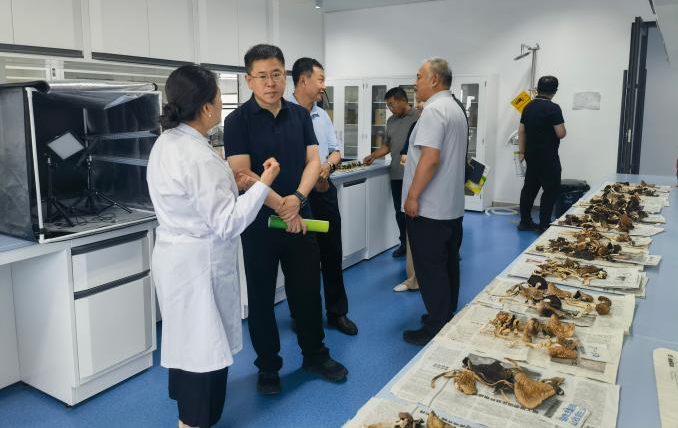 自治区人大常委会调研组在赤峰市农牧科学院开展种质资源保护立法调研
