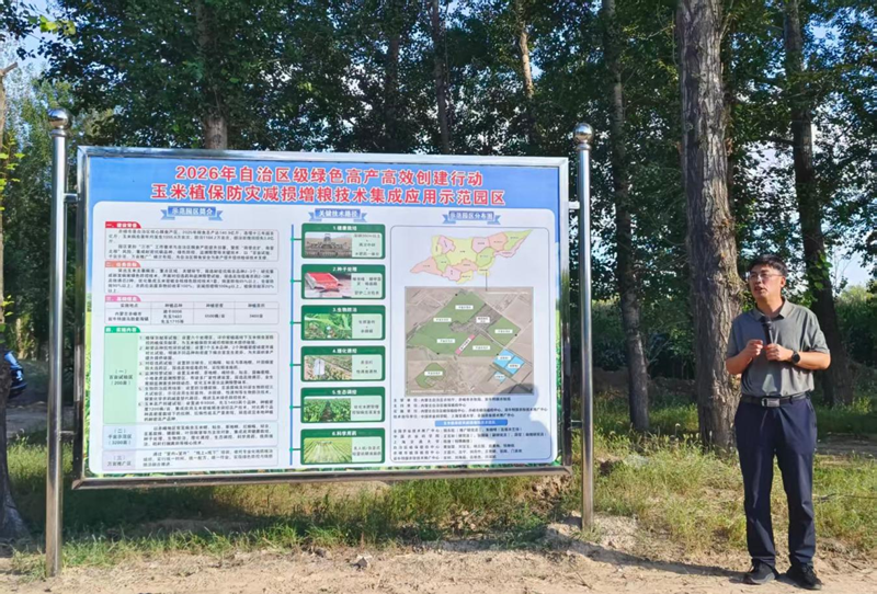 赤峰市召开玉米植保防灾减损增粮技术示范观摩会