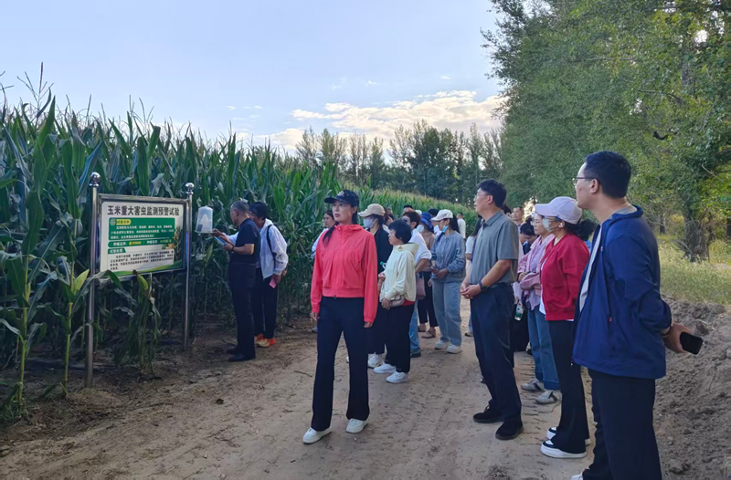 赤峰市玉米植保防灾减损增粮技术示范观摩会现场