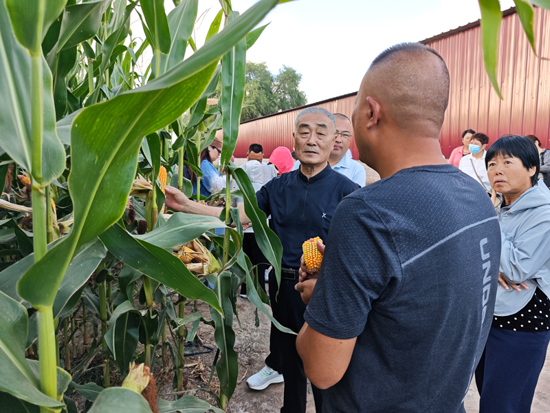 赤峰市玉米植保防灾减损增粮技术示范观摩会现场
