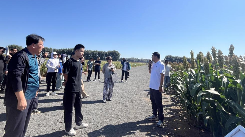 观摩“看禾选种”平台