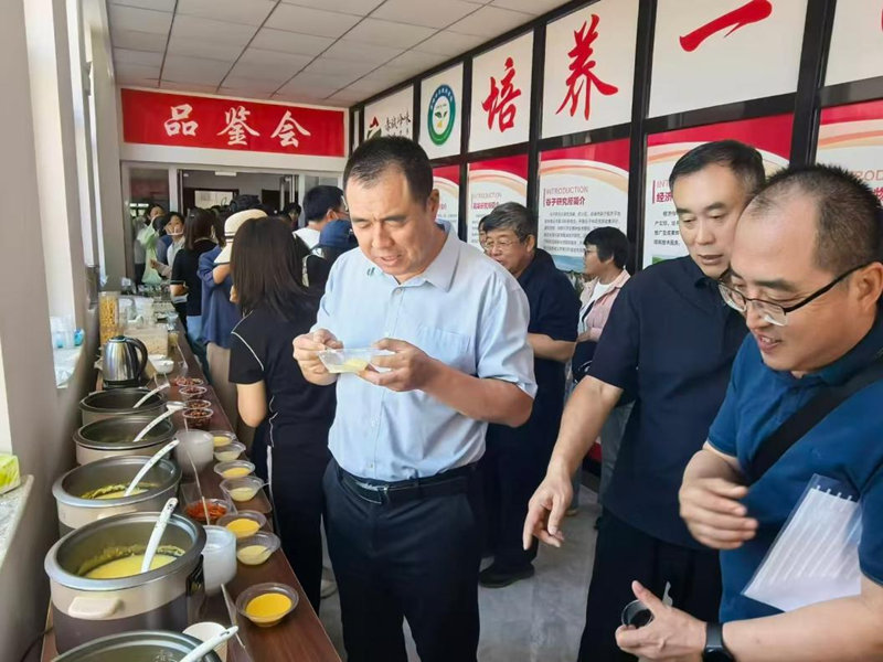 科技成果品鉴会现场