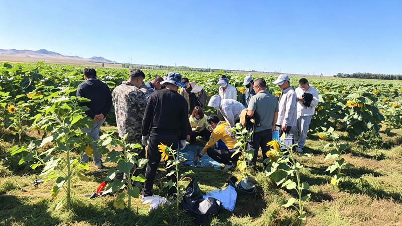 首批补充耕地质量验收工作现场