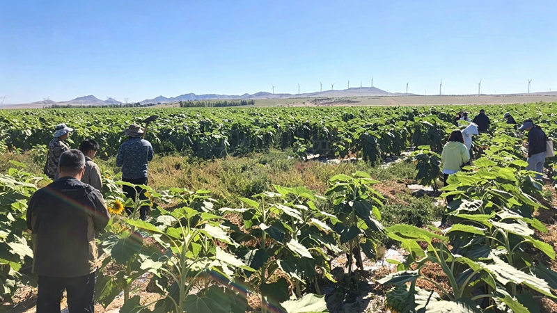 首批补充耕地质量验收工作现场
