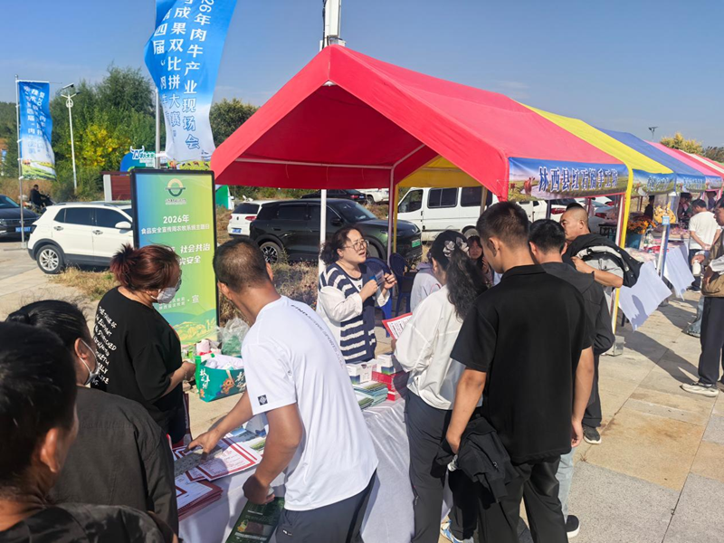 活动现场