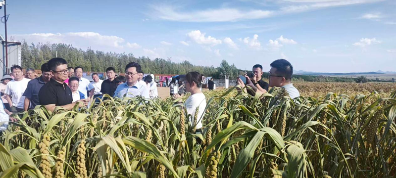 参观旱作项目区