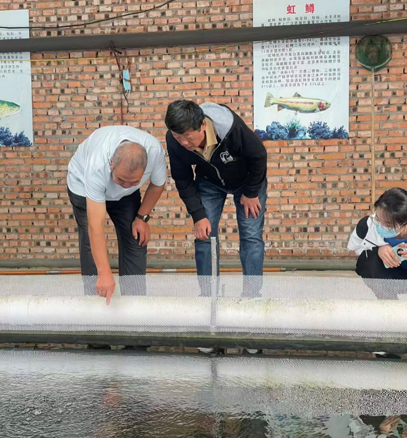 技术人员在喀喇沁旗冷水鱼养殖场开展技术指导