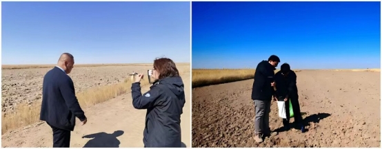 鄂尔多斯市农牧业领域“揭榜挂帅”项目——黄河南岸灌区盐碱地综合利用关键技术研究与示范应用开展2026年度地块划定