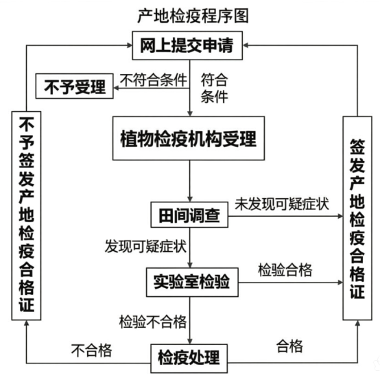 植物检疫进行时!鄂尔多斯严把绿色关口