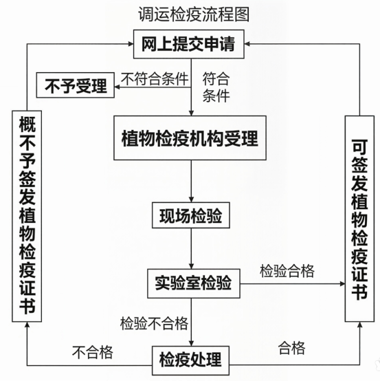 植物检疫进行时!鄂尔多斯严把绿色关口