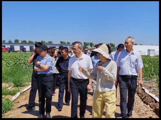 沿黄灌区盐碱地节水控盐综合治理新场景培育与大规模应用研讨交流会 在鄂尔多斯市成功召开