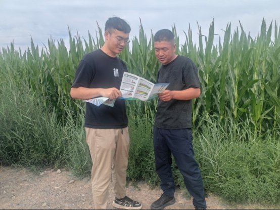 【农牧科技服务队在行动】以试验探新路 以科技护良田——全生物降解地膜试验示范有序推进