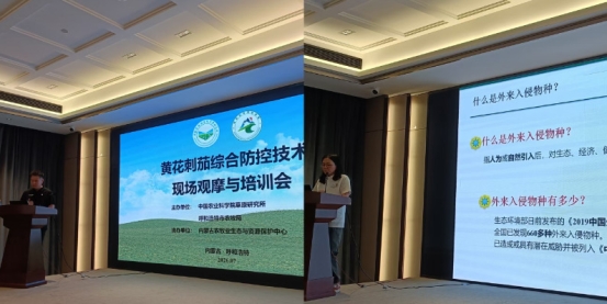 市耕地质量保护和农田建设服务中心组织参加黄花刺茄综合防控技术现场观摩与培训会