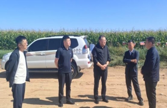 市农牧局联合多部门开展高标准农田建设专项整治整改复核及建后管护综合调研指导