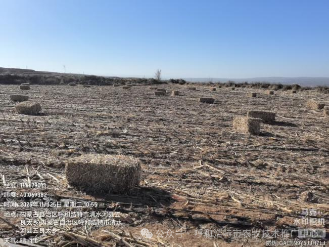 “变废为宝”促利用——呼和浩特市推动秸秆地膜回收处置迈向绿色多元化发展