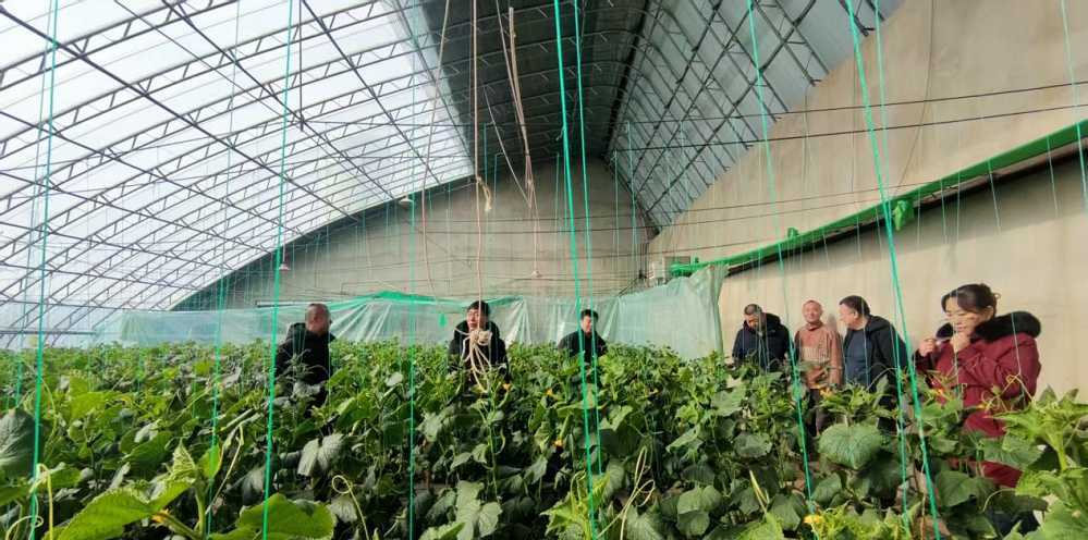 市区两级农牧部门联合开展安全生产检查坚决筑牢安全生产防线