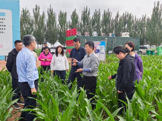 农业农村部来通辽市开展粮食生产情况调研指导