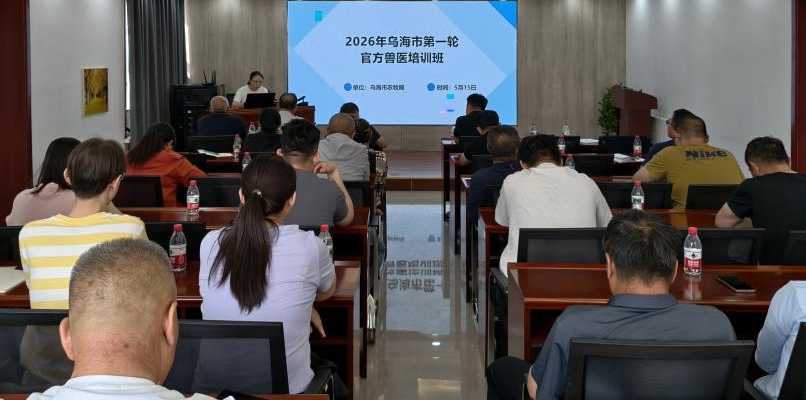 以学促干 提能力 强担当