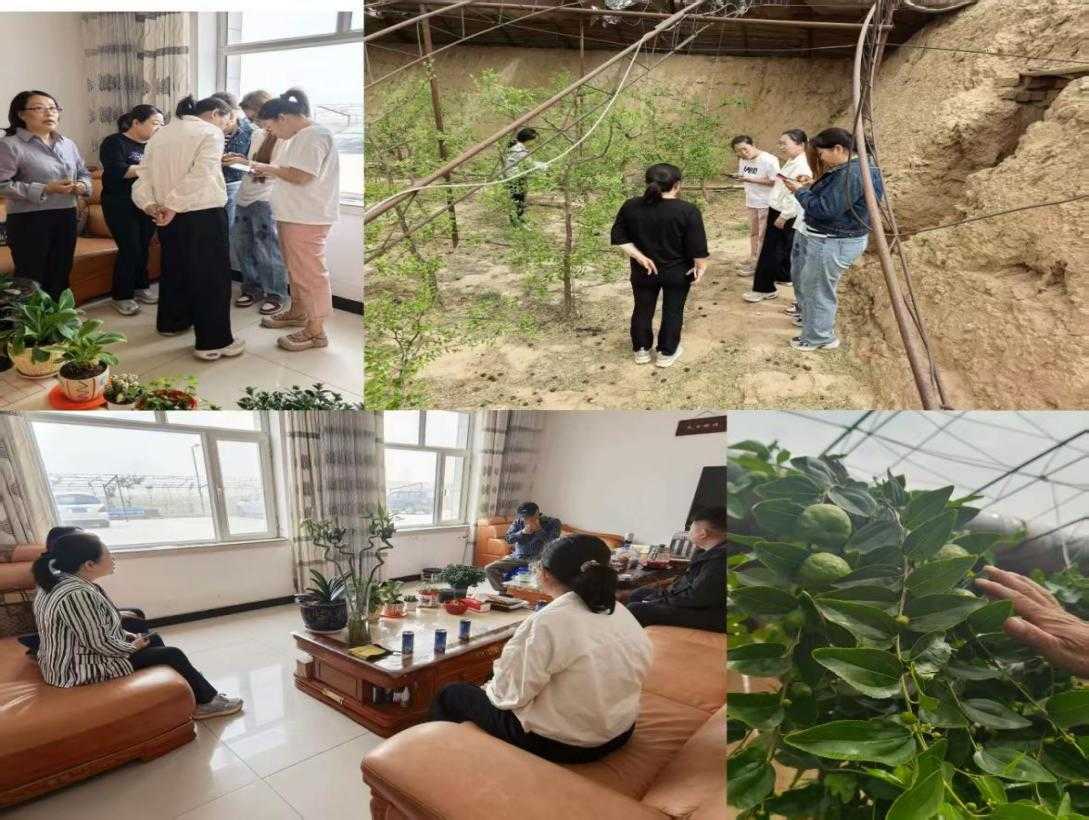 乌海市农牧局深入种植经营主体开展绿色食品申报指导及基地巡查工作