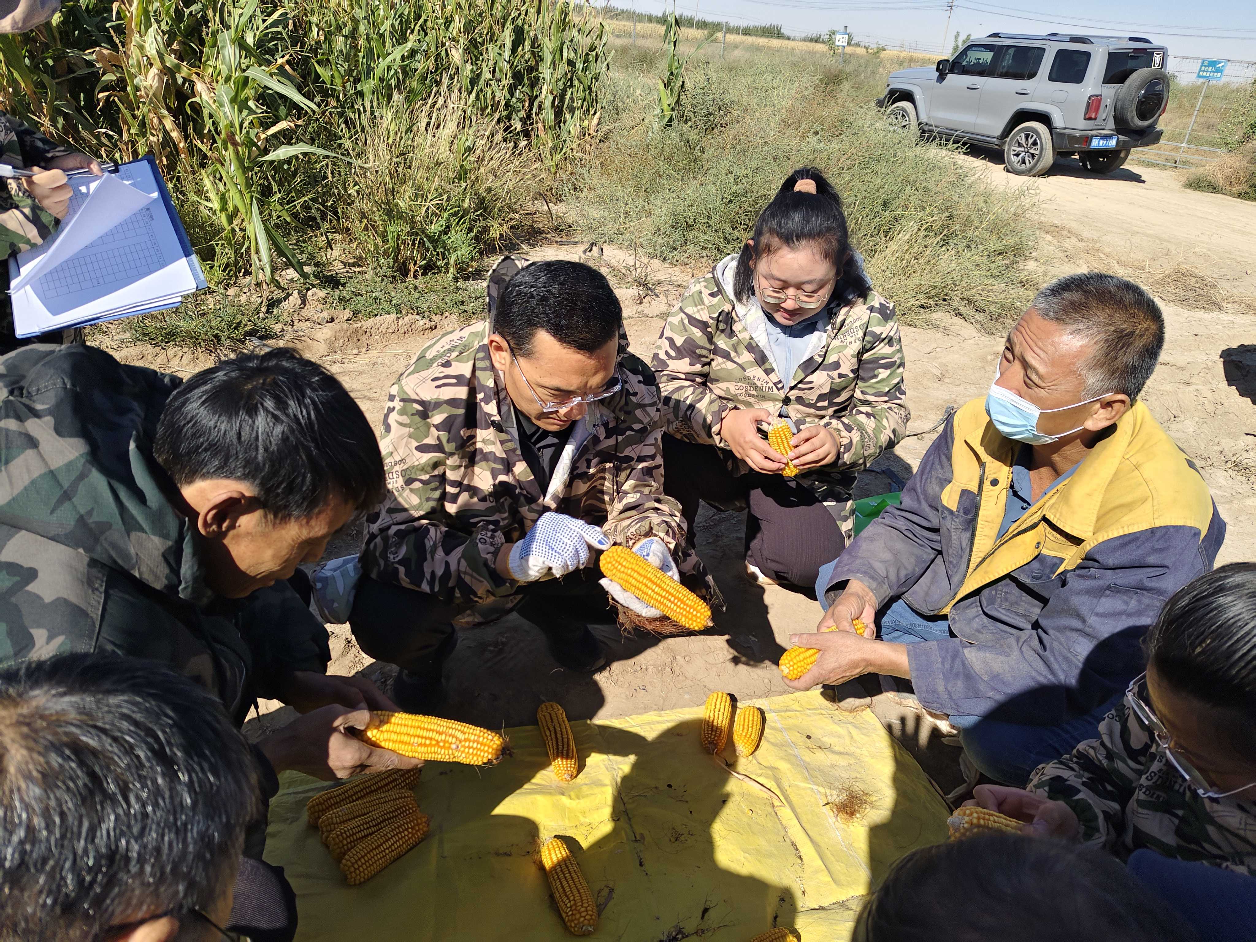 市农牧局国庆深耕田间一线抓实秋粮测产与农业安全生产工作.jpg