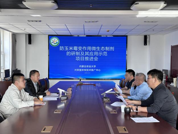 校地协同守粮仓 科技赋能减损耗——内蒙古农业大学与兴安盟深化合作破解玉米霉变难题