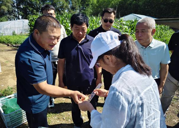 兴安盟寒地小龙虾自主培育喜获成功