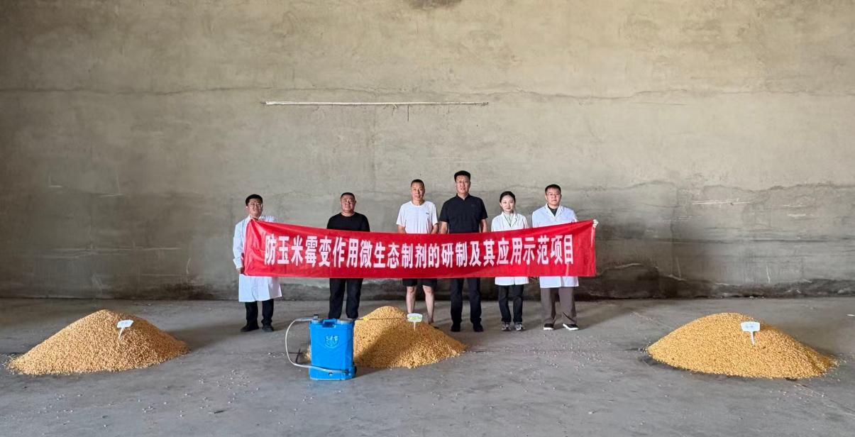 探索科学储粮新方法 助力玉米减损保安全——内蒙古农业大学乌云达来教授团队到兴安盟开展防玉米霉变作用微生态制剂应用示范
