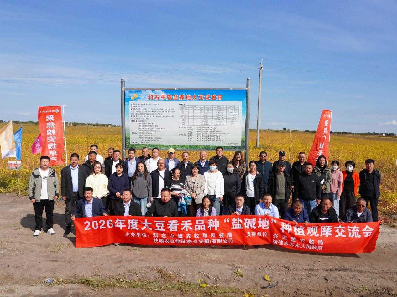 兴安盟农牧局举办盐碱地种植观摩会