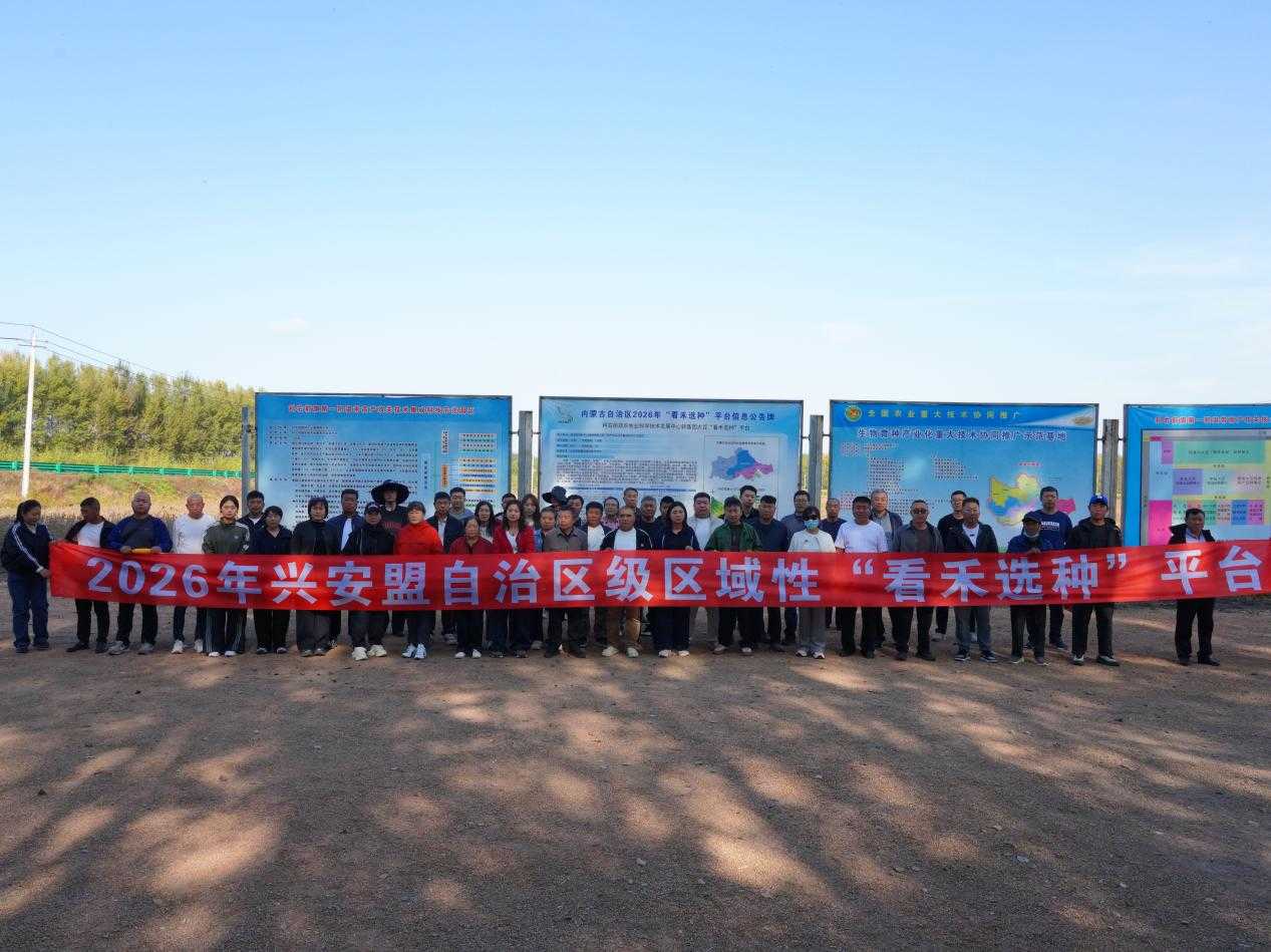 兴安盟“看禾选种”平台暨生物育种产业化应用重大技术协同推广现场观摩会成功举办