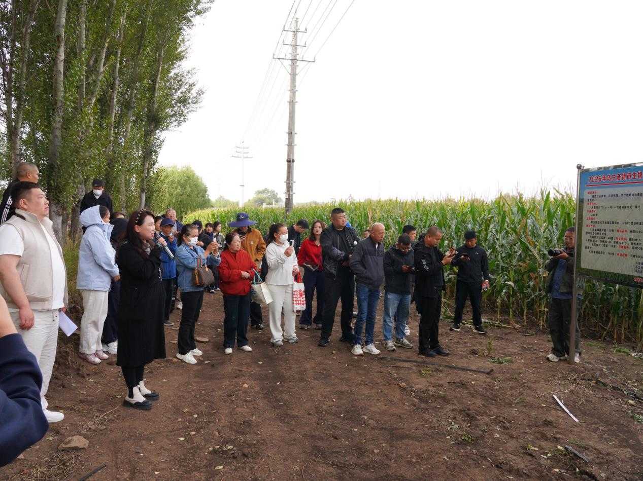 兴安盟“看禾选种”平台暨生物育种产业化应用重大技术协同推广现场观摩会成功举办