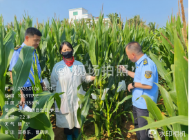 内蒙古自治区植保植检中心赴南繁基地 开展2025-2026年度产地检疫工作